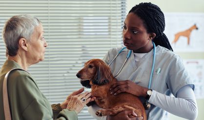 Vet sector still facing racism, study finds